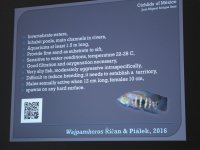 IMG_6007.jpg