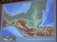 IMG_6059.jpg