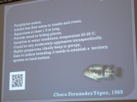 IMG_6060.jpg