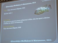 IMG_6061.jpg