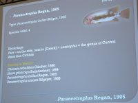 IMG_6064.jpg