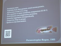 IMG_6068.jpg