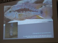 IMG_6088.jpg