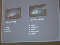 IMG_6096.jpg