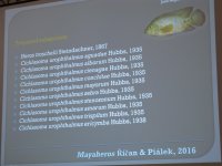 IMG_6124.jpg