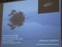 IMG_6133.jpg