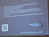 IMG_6154.jpg