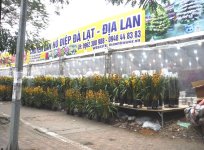 DSCF4824 - Tet 2019.JPG