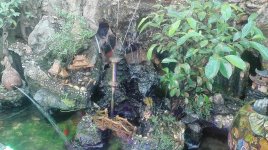 VIET-LAKE_3 - Copia.jpg