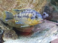 20191006_124122[1].jpg