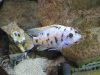20191009_131229[1].jpg
