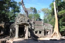 10_Tempio di Ta Phom .JPG