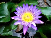 DSCF0174 - Copia.JPG