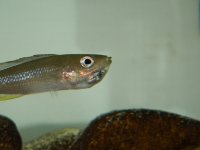 DSCN5432.JPG
