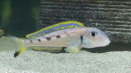 IMG_20210121_182658.png
