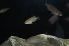 DSC08387.JPG