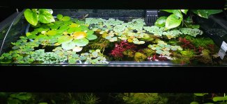 IMG_20210326_190122.jpg