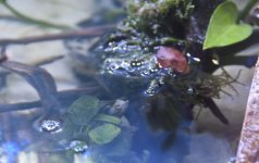 6.JPG