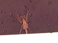 20220325_105831.jpg