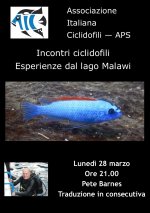 Incontri_ciclidofili_Pete_Barnes.jpg