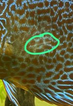 1EF15B6E-DD65-44EB-86AC-832FBEE7320B.jpeg