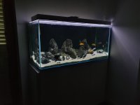 WhatsApp Image 2023-05-01 at 17.45.34 (3).jpeg