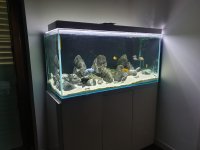 WhatsApp Image 2023-05-01 at 17.45.34 (2).jpeg