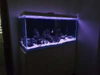 WhatsApp Image 2023-05-01 at 17.45.33 (2).jpeg