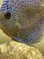 IMG_3585.jpeg