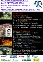Congresso 2024.jpg