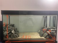 IMG_0571.jpeg