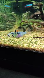 IMG_20191219_190626.jpg