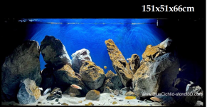 Immagine 2024-12-28 130414.png