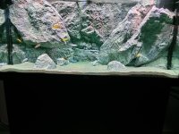 IMG_20250114_160856.jpg