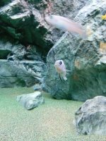 IMG_20250114_160557.jpg