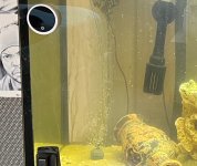 IMG_3489.jpeg