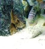 Octo 052.jpg