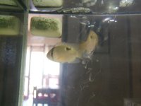 DSCF0187.jpg