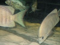 grecia_sett2012 006.jpg