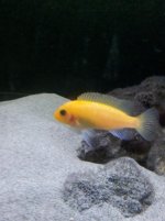 2011-11-05 19.31.26.jpg