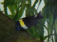 DSC_0507.jpg