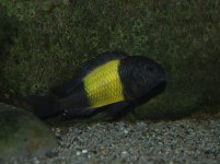 DSC_0536.jpg