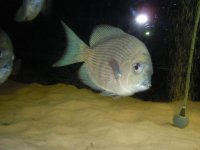 grecia_sett2012 004.jpg