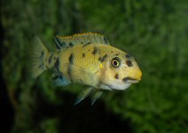 DSC_0437.jpg