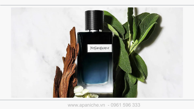 mui-huong-an-tuong-cua-ysl-y-edp.png