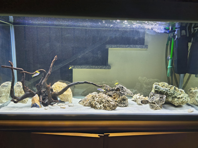 IMG-20260814-210122390-HDR.jpg